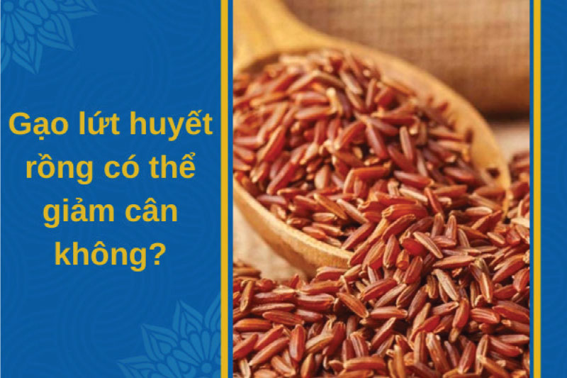 Ngũ cốc gạo lứt huyết rồng là gì? Ngũ cốc gạo lứt huyết rồng có giảm cân không