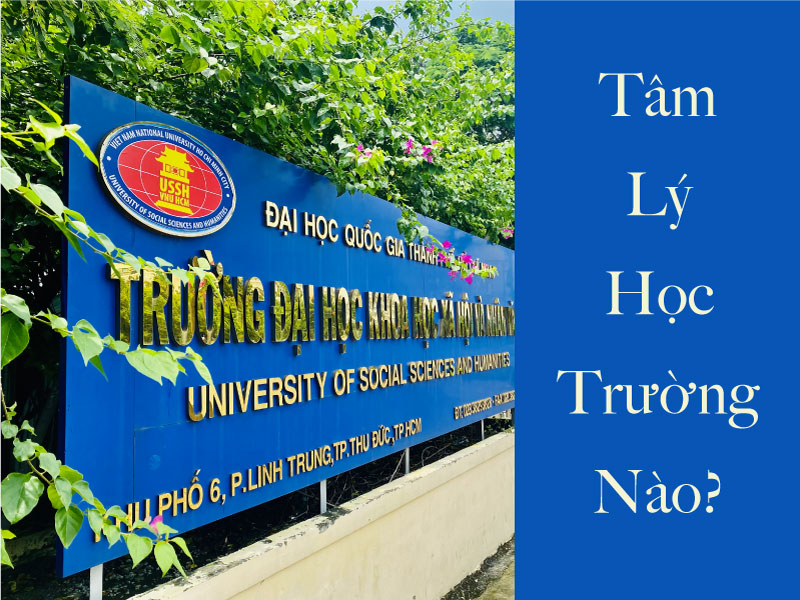 Các trường đào tạo ngành tâm lý học ở Việt Nam
